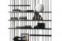 cattelan_italia_arsenal_modular_bookcase